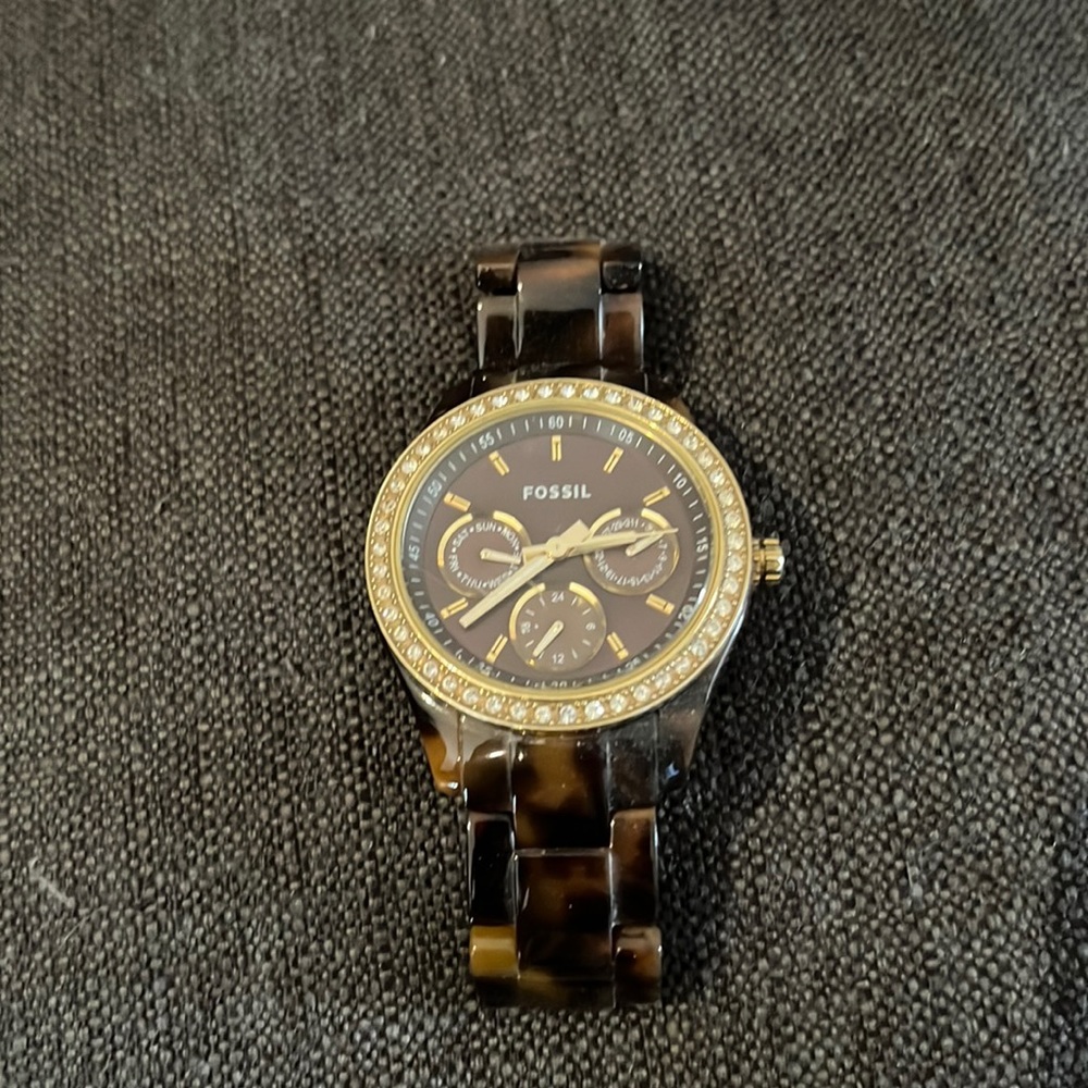Tortoise Fossil Watch